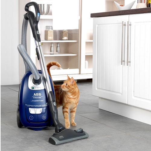 Upright vs Canister Vacuum Cleaners